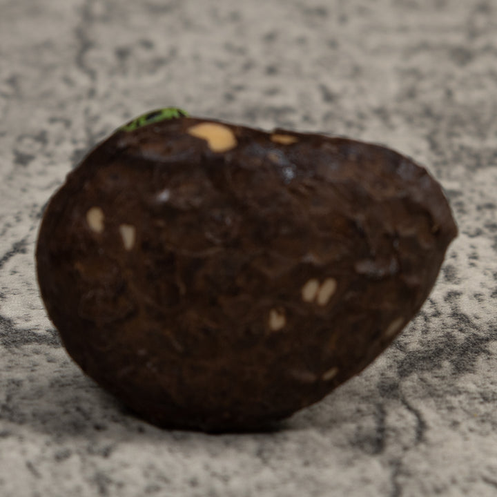 Poison Dart Frog Tagua Carving