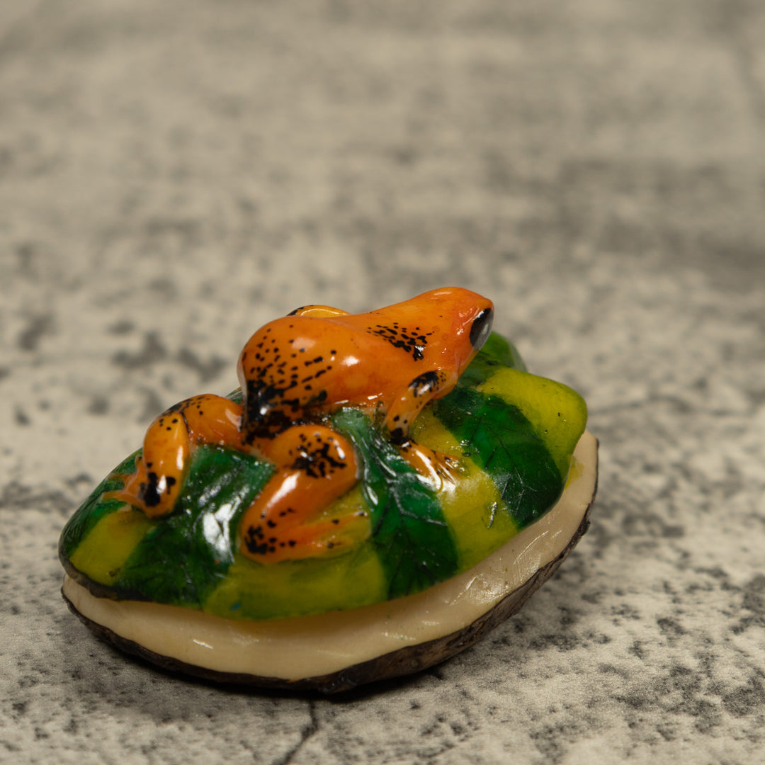 Gold And Black Tropical Frog Tagua Carving
