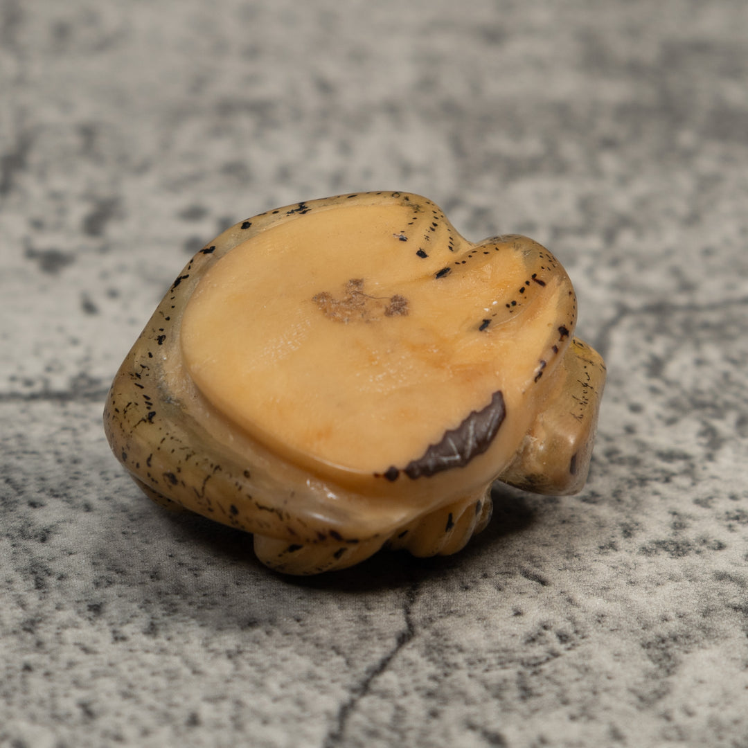 Vintage Gecko Lizard Reptile Tagua Carving