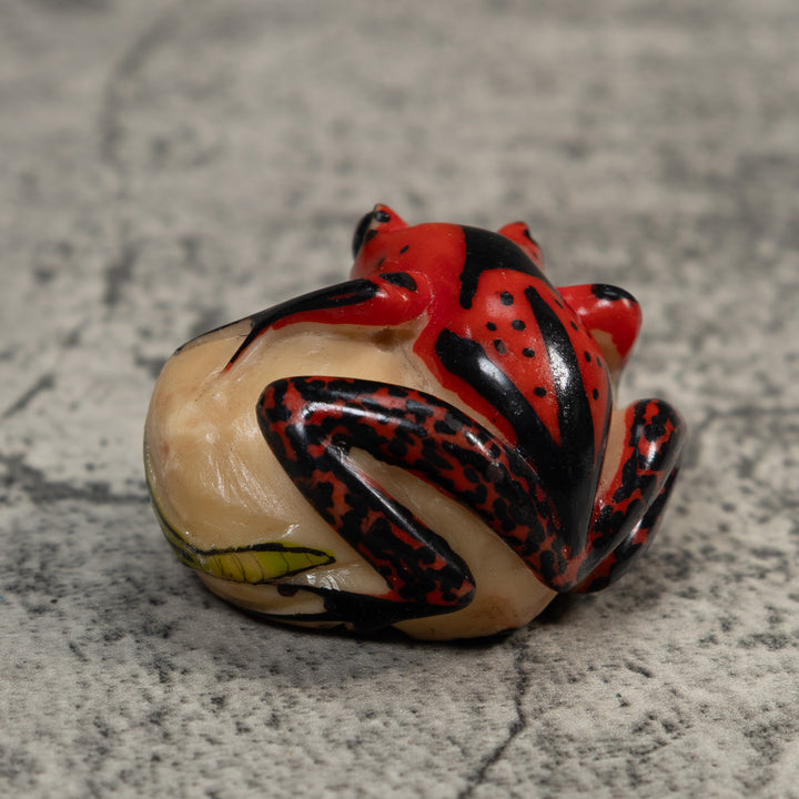 Vintage Red Green And Black Poison Dart Frog Tagua Carving