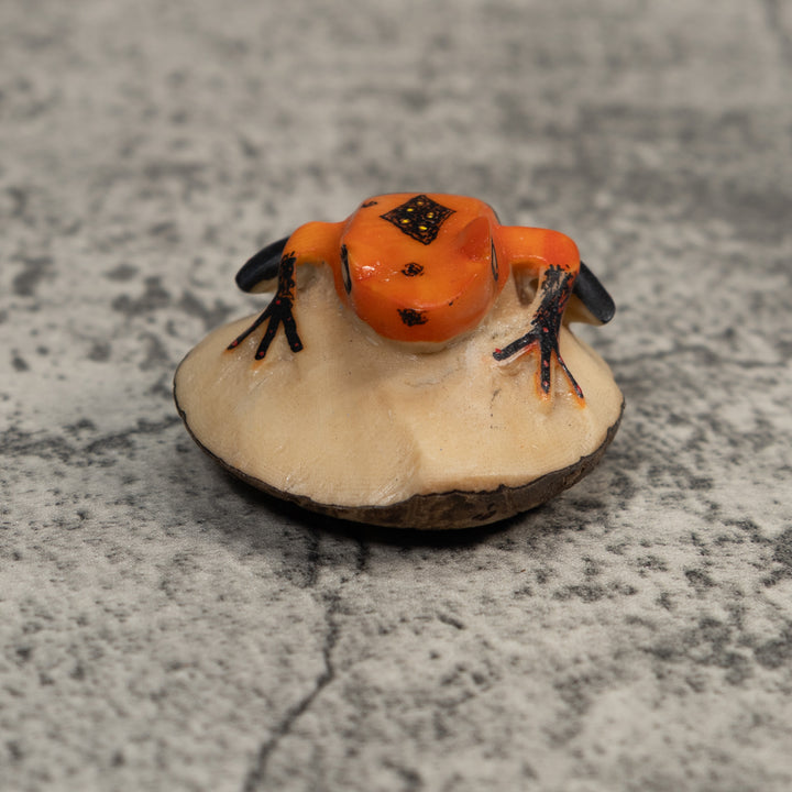 Vintage Orange And Black Poison Dart Frog Tagua Carving