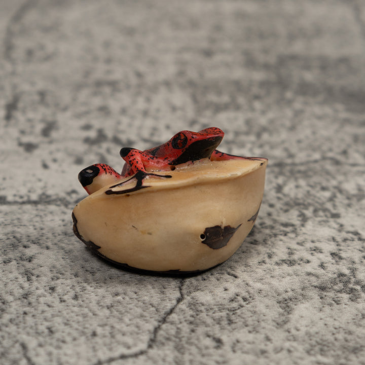 Black And Red Frog Tagua Carving