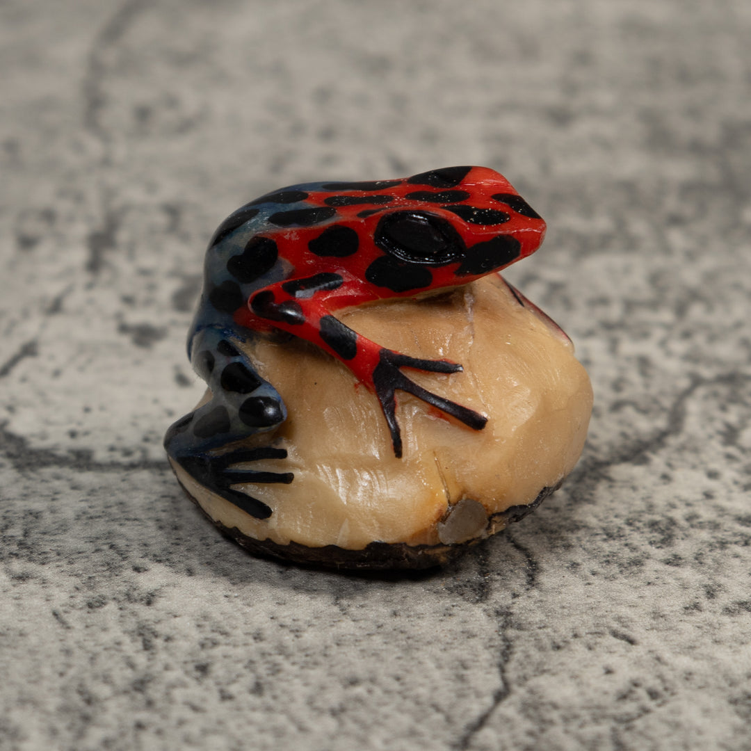 Vintage Red And Blue Poison Dart Frog Tagua Carving