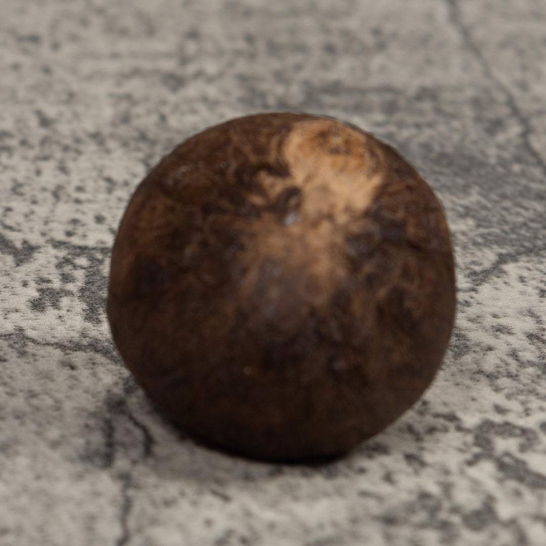 Poison Dart Frog Tagua Carving