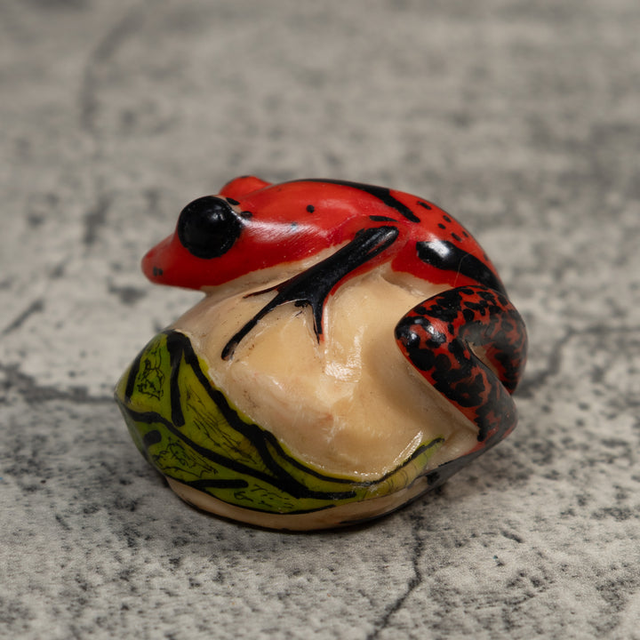 Vintage Red Green And Black Poison Dart Frog Tagua Carving