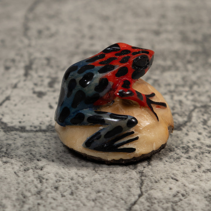 Vintage Red And Blue Poison Dart Frog Tagua Carving