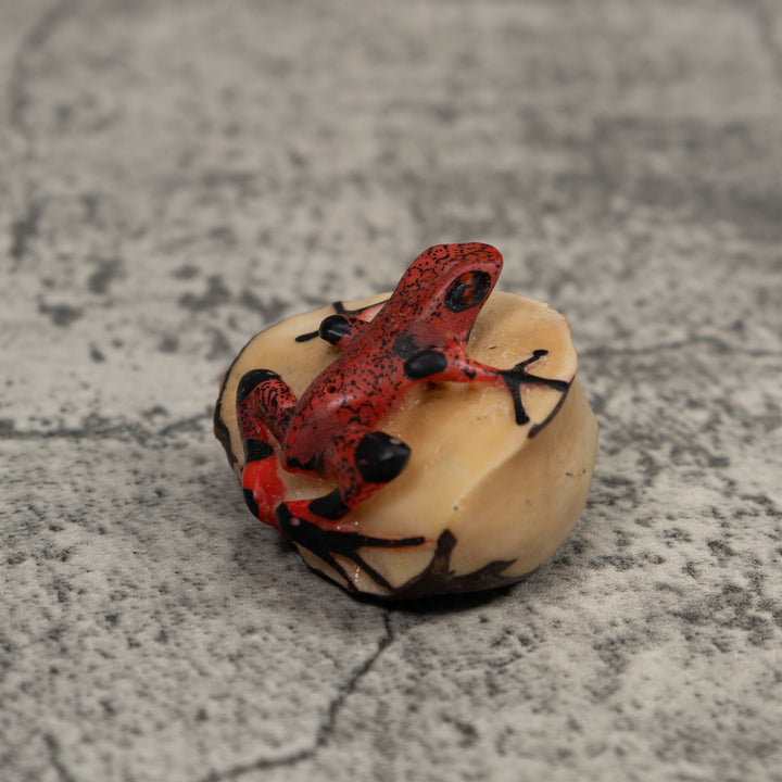 Black And Red Frog Tagua Carving