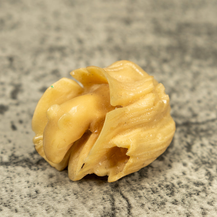 Natural White Neque Agouti And Wood Log Tagua Carving