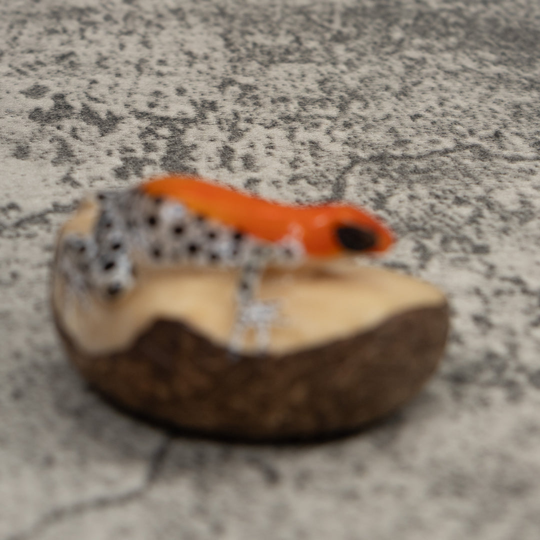 Poison Dart Frog Tagua Carving