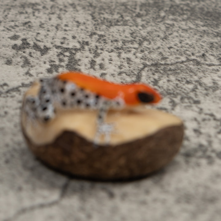 Poison Dart Frog Tagua Carving