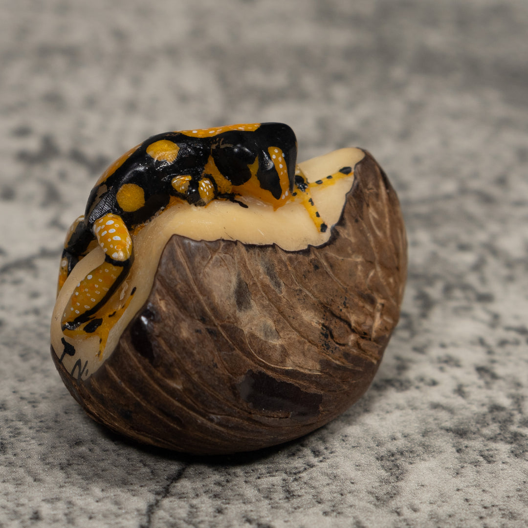 Gold White And Black Frog Tagua Carving