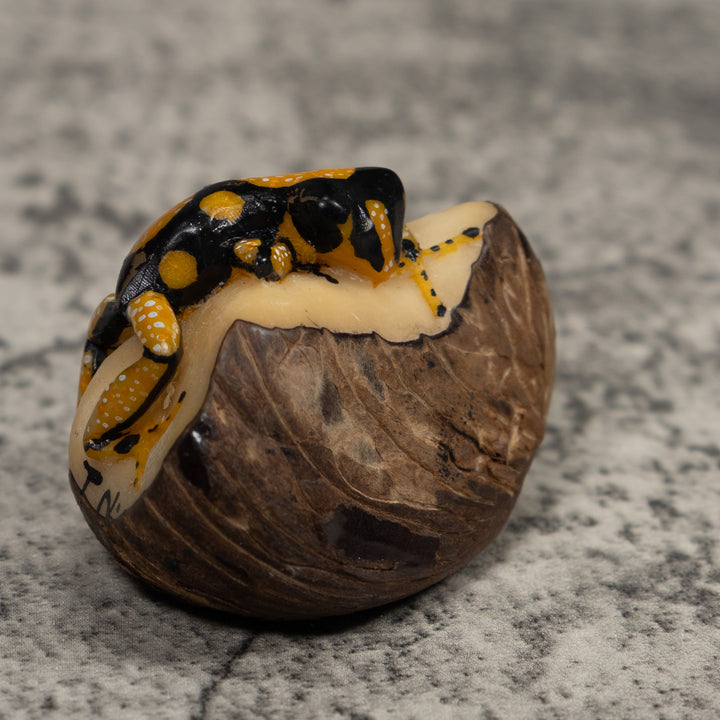 Gold White And Black Frog Tagua Carving
