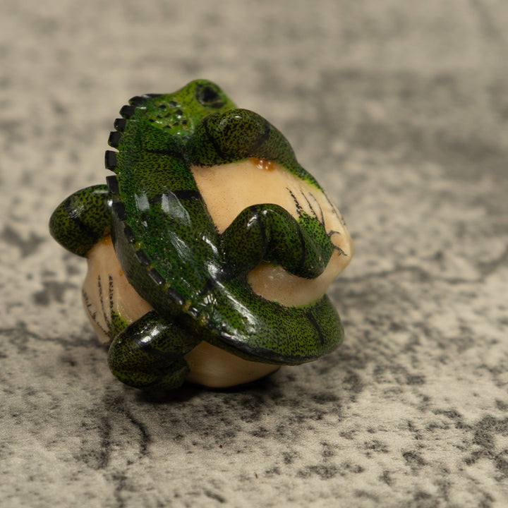 Iguana Lizard Reptile Tagua Carving