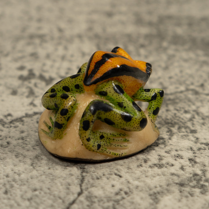 Poison Dart FrogTagua Carving