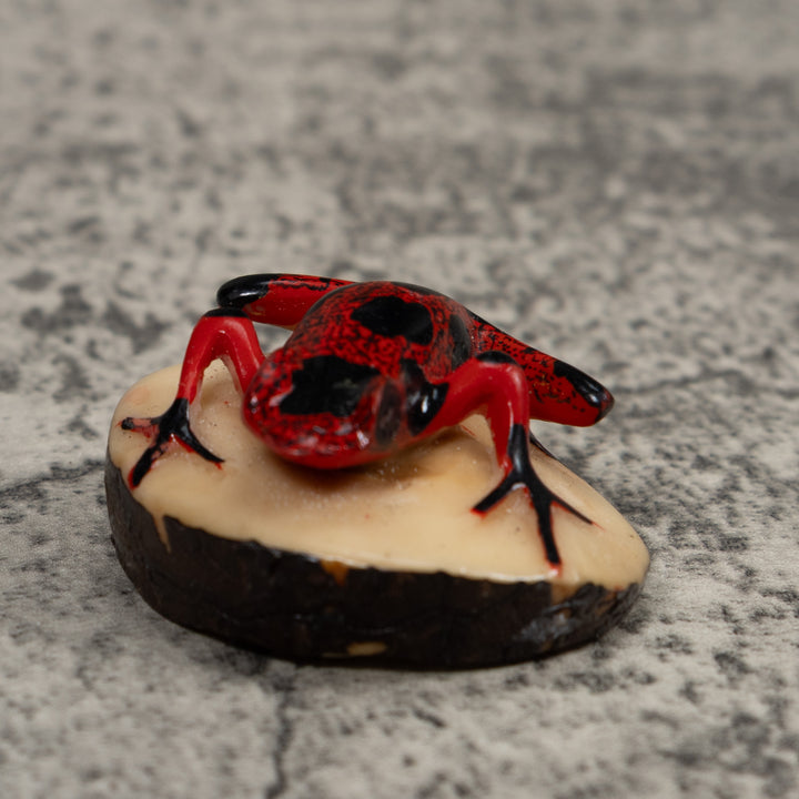 Vintage Poison Dart Frog Tagua Carving