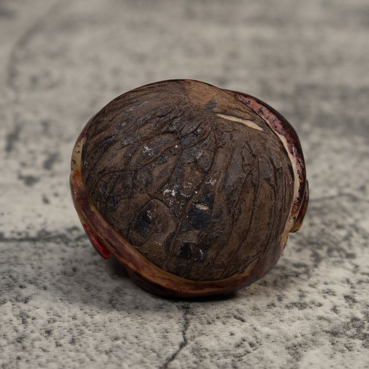 Vintage Black And Tan Gecko Lizard Tagua Carving