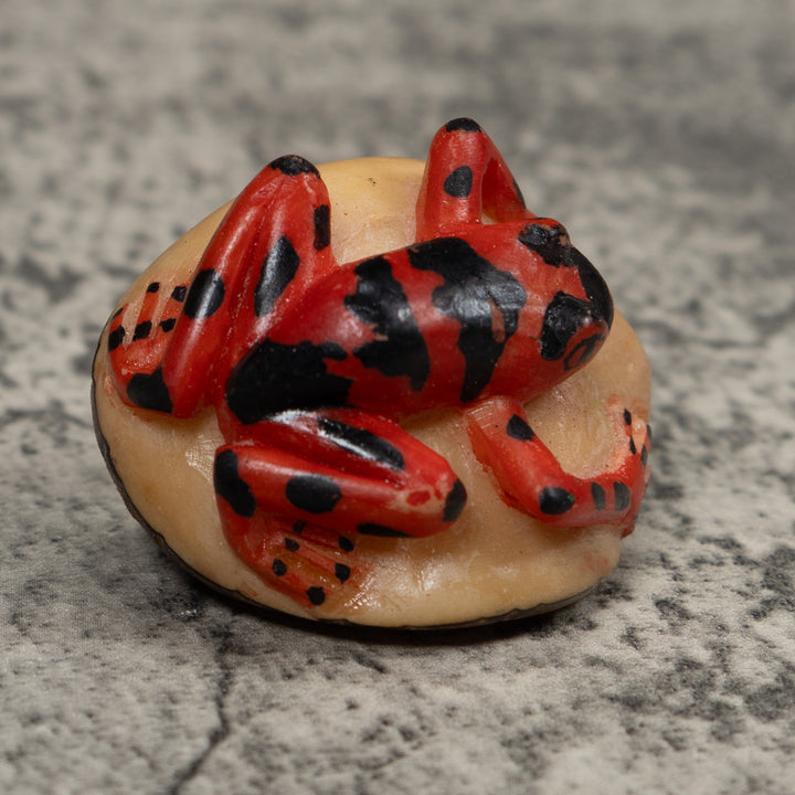 Vintage Black And Red Frog Tagua Carving