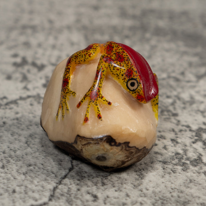 Red And Gold Poison Dart Frog Tagua Carving