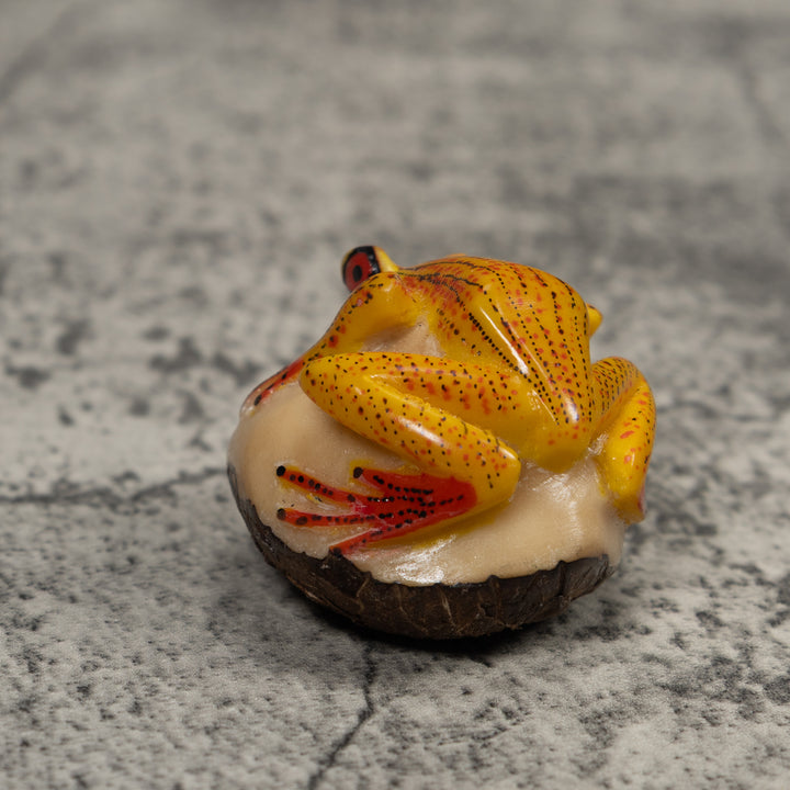 Vintage Gold Red And Black Frog Tagua Carving