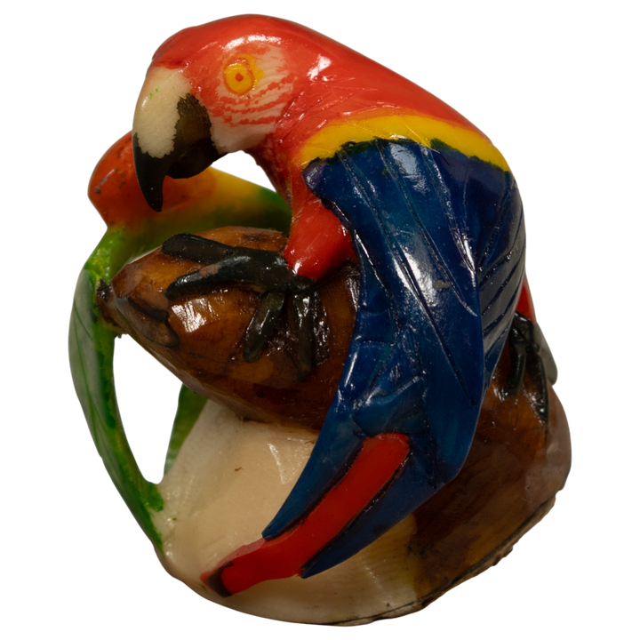Macaw Parrot Bird Tagua Carving