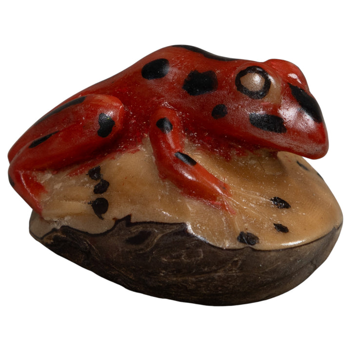 Vintage Red And Black Frog Tagua Carving