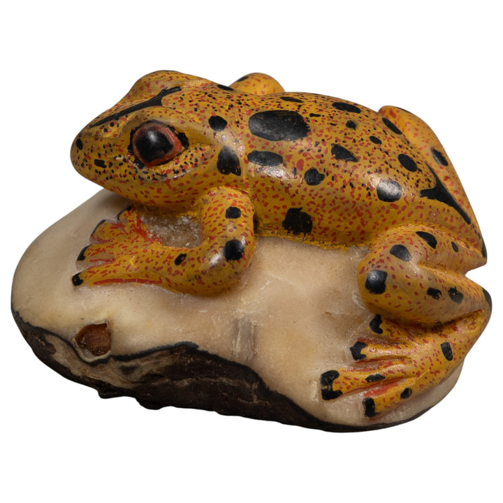 Gold And Black Poison Dart Frog Tagua Carving