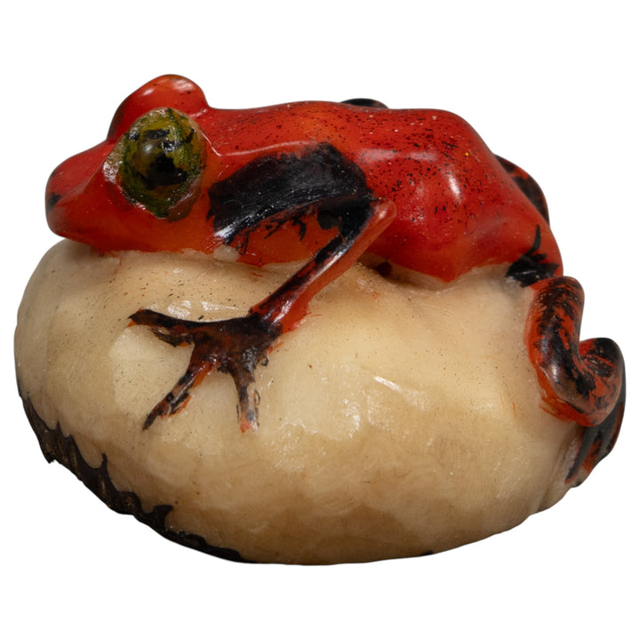Vintage Red And Black Poison Dart Frog Tagua Carving
