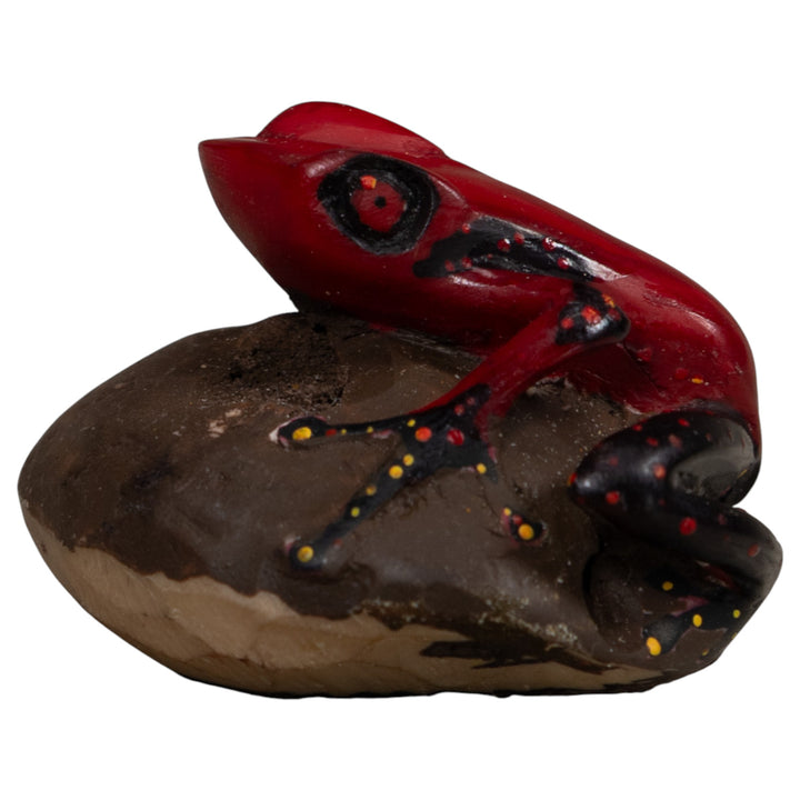 Poison Dart Frog Tagua Carving