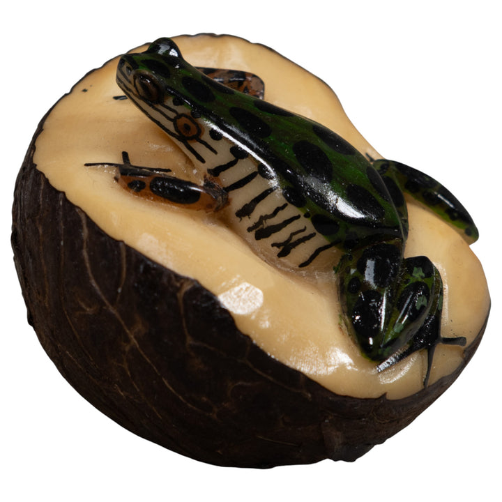 Poison Dart Frog Tagua Carving