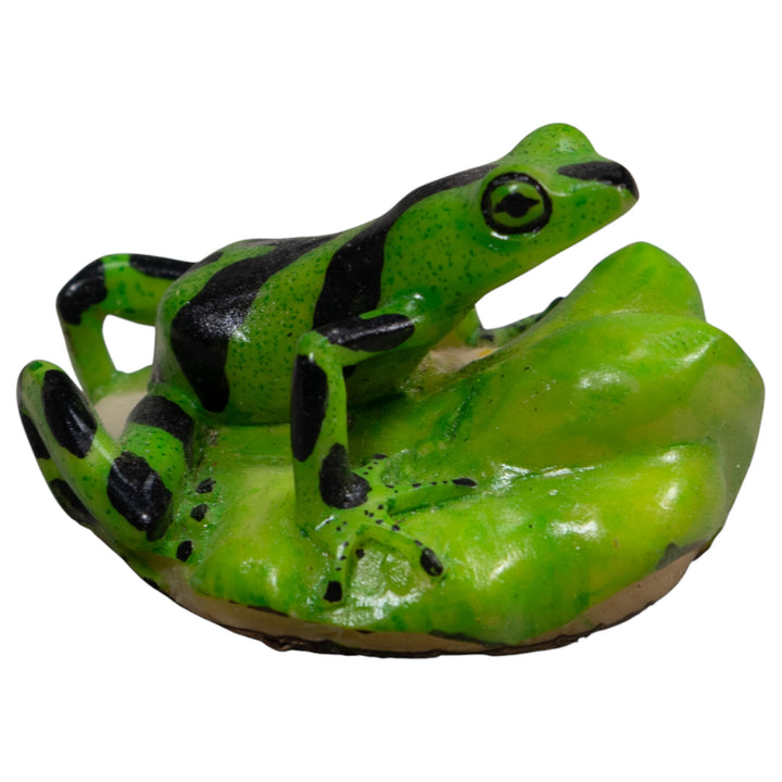 Green And Black Poison Dart Frog Tagua Carving