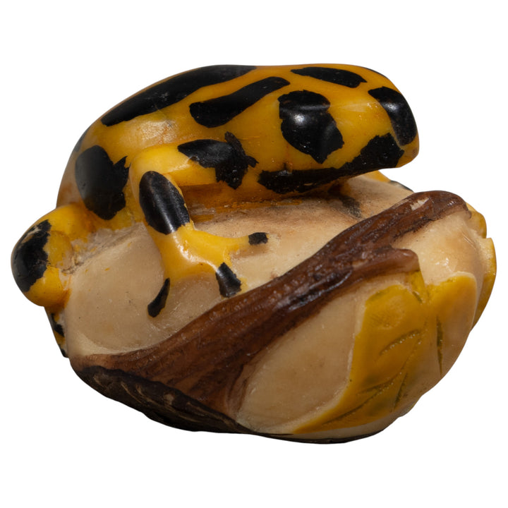 Black And Gold Frog Tagua Carving
