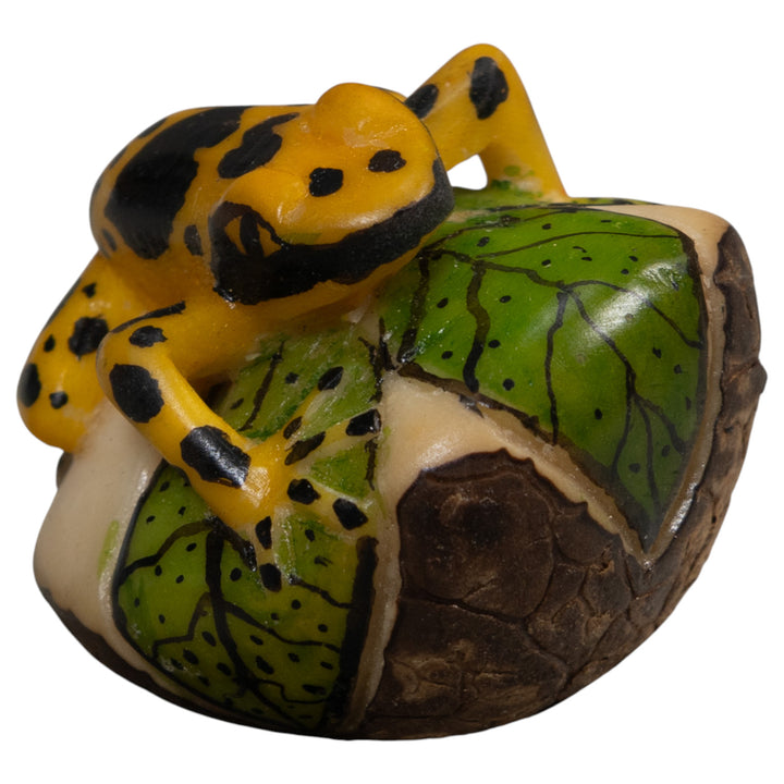 Black And Gold Poison Dart Frog Tagua Carving