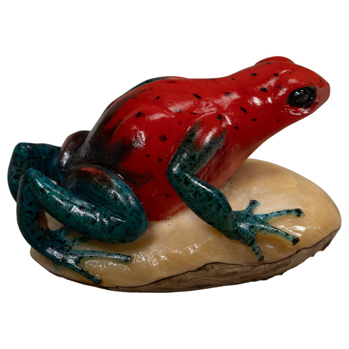 Poison Dart Frog Tagua Carving