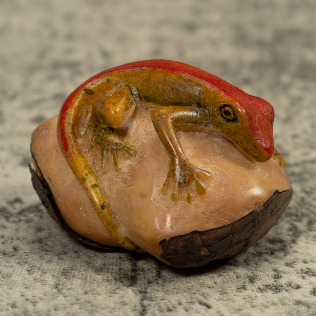 Red Stripped gecko Tagua Carving