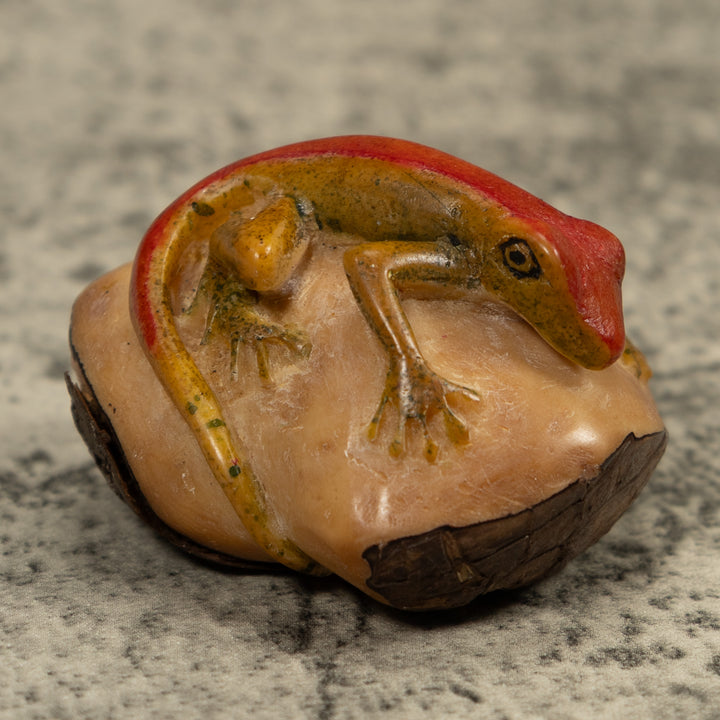 Red Stripped gecko Tagua Carving