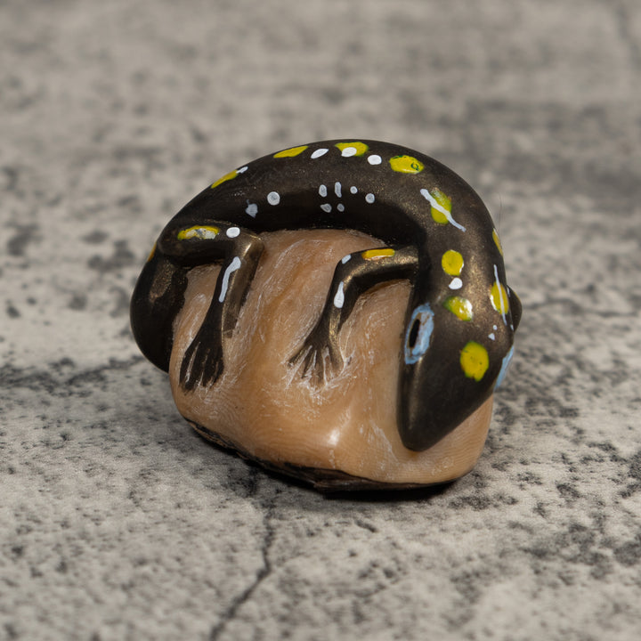 Vintage Gecko Lizard Reptile Tagua Carving