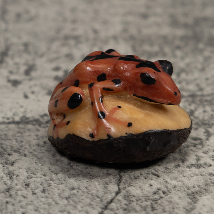 Vintage Poison Dart Frog Tagua Carving