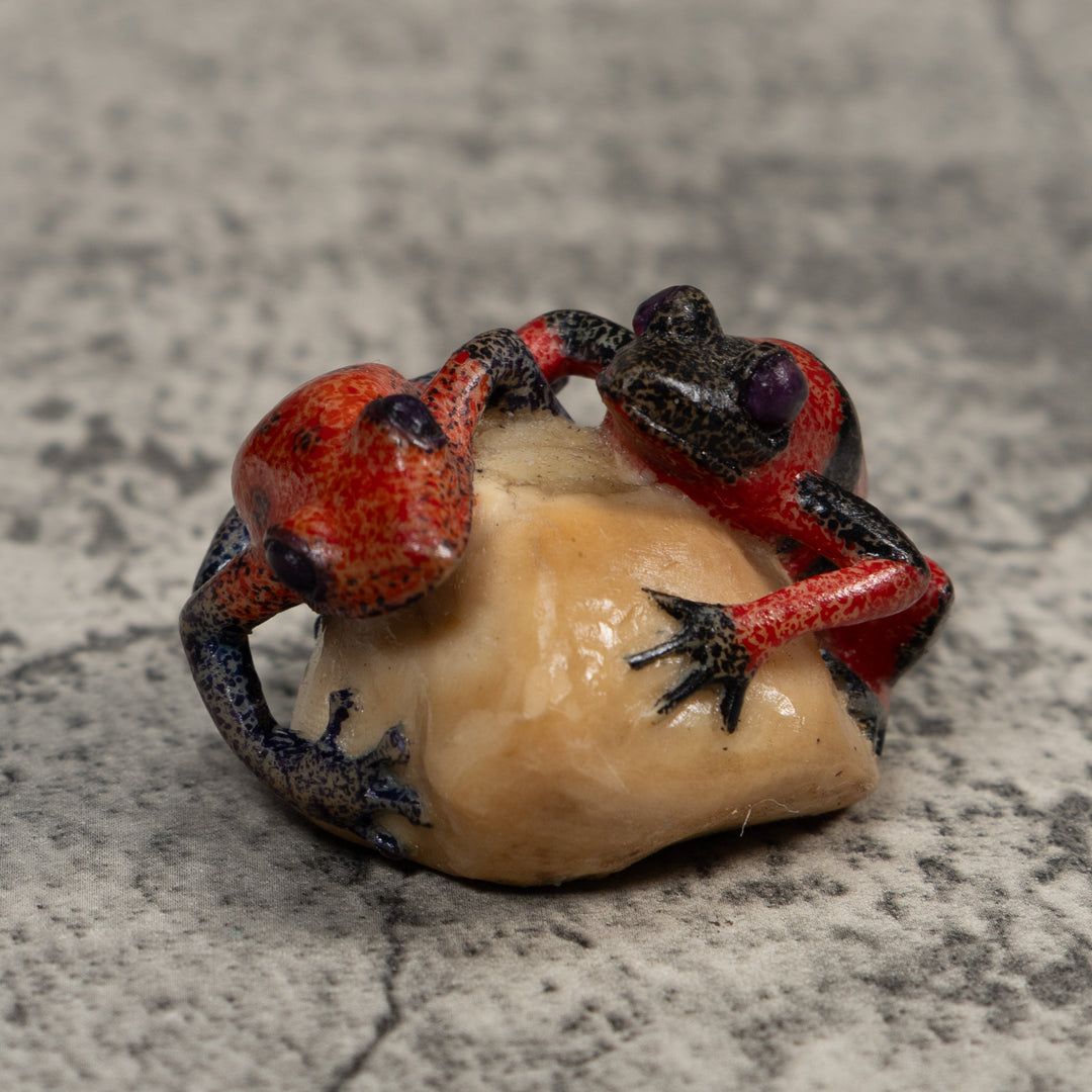 Vintage Red And Black Double Poison Dart Frog Tagua Carving