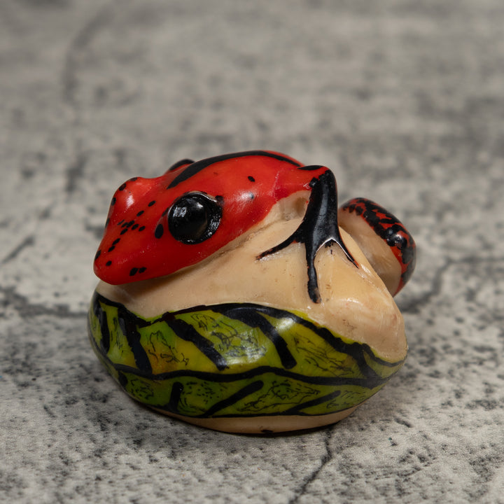 Vintage Red Green And Black Poison Dart Frog Tagua Carving