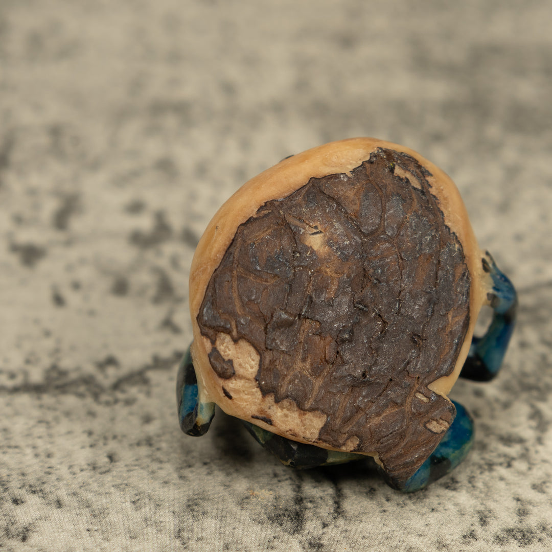 Black Bluish Green Poison Dart Frog Tagua Carving