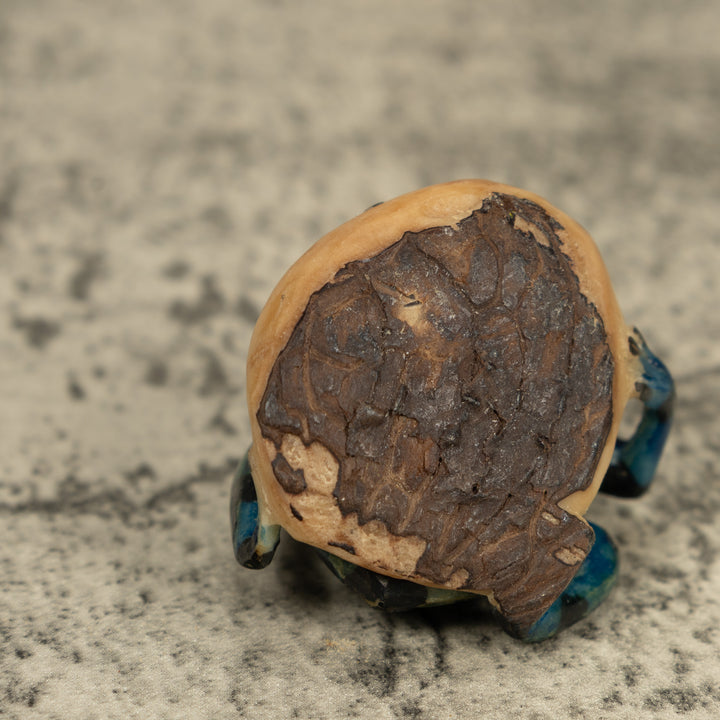 Black Bluish Green Poison Dart Frog Tagua Carving