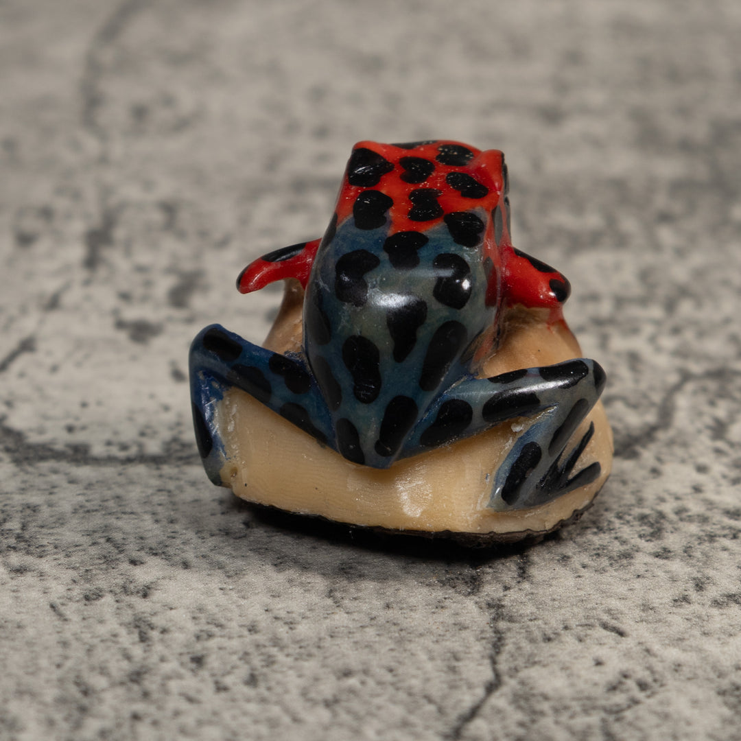 Vintage Red And Blue Poison Dart Frog Tagua Carving