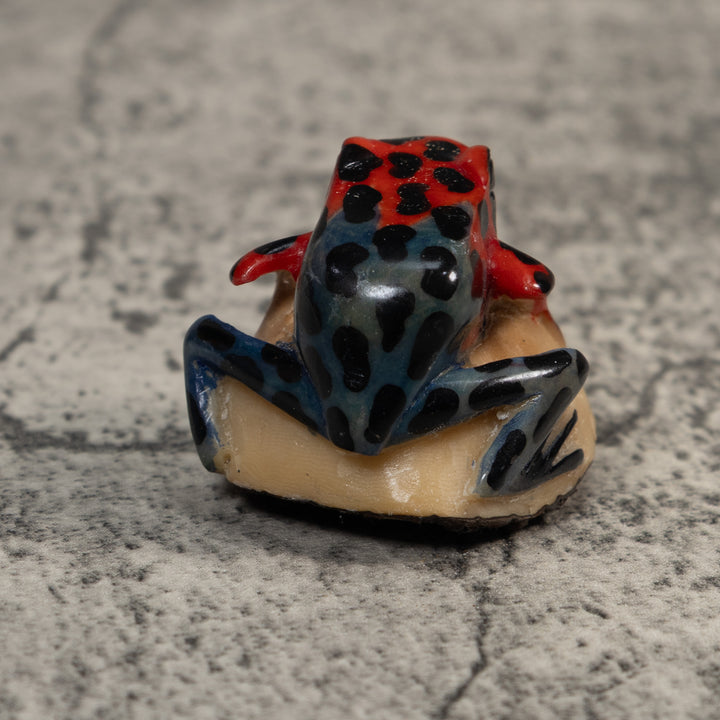 Vintage Red And Blue Poison Dart Frog Tagua Carving