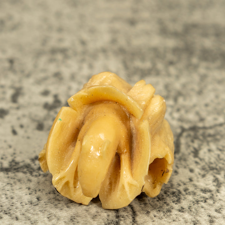 Natural White Neque Agouti And Wood Log Tagua Carving