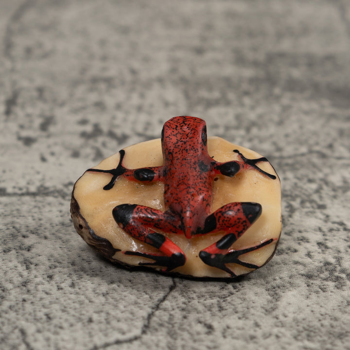 Black And Red Frog Tagua Carving