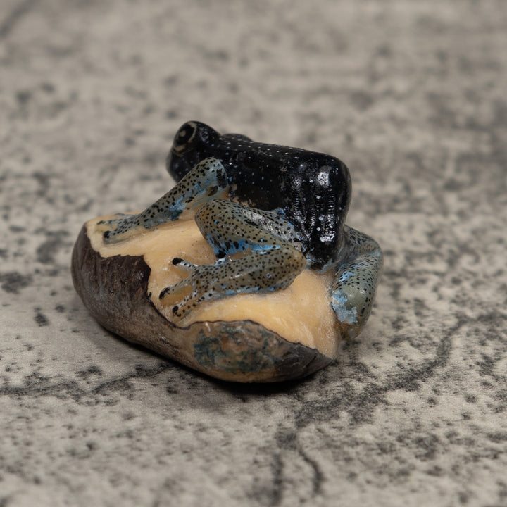 Vintage Blue Frog Tagua Carving
