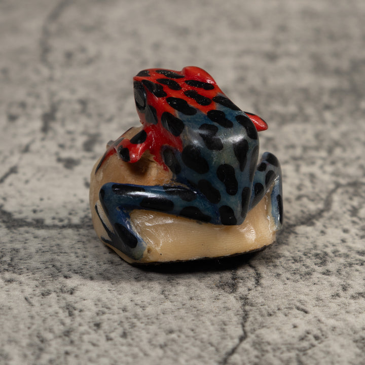 Vintage Red And Blue Poison Dart Frog Tagua Carving