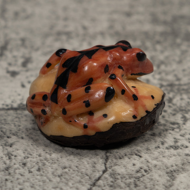 Vintage Poison Dart Frog Tagua Carving