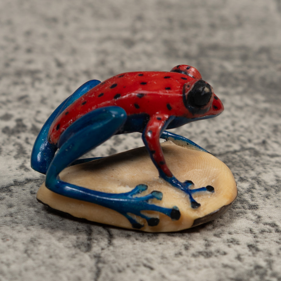 Red And Blue Undercut Poison Dart Frog Tagua Carving