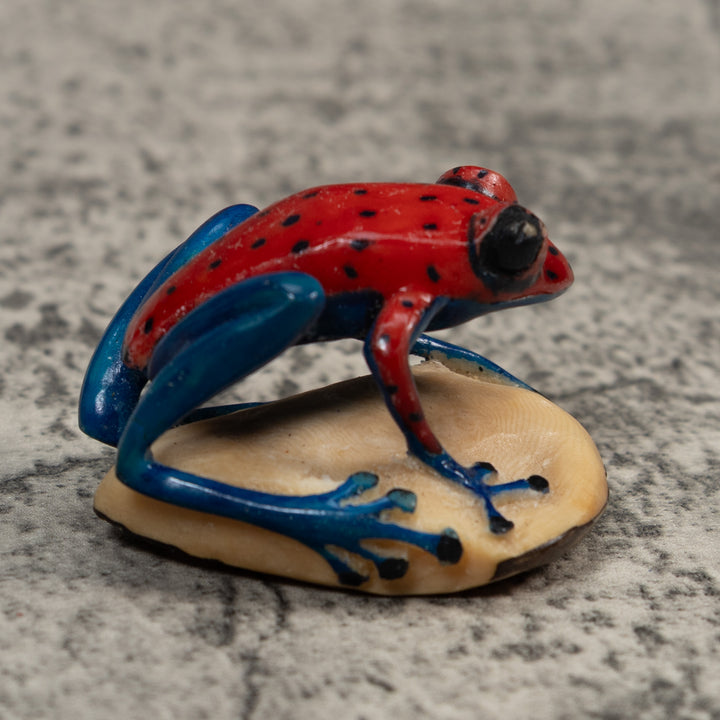 Red And Blue Undercut Poison Dart Frog Tagua Carving
